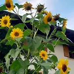 Appartamento Kuenstlerhaus Weissgerberguetl *